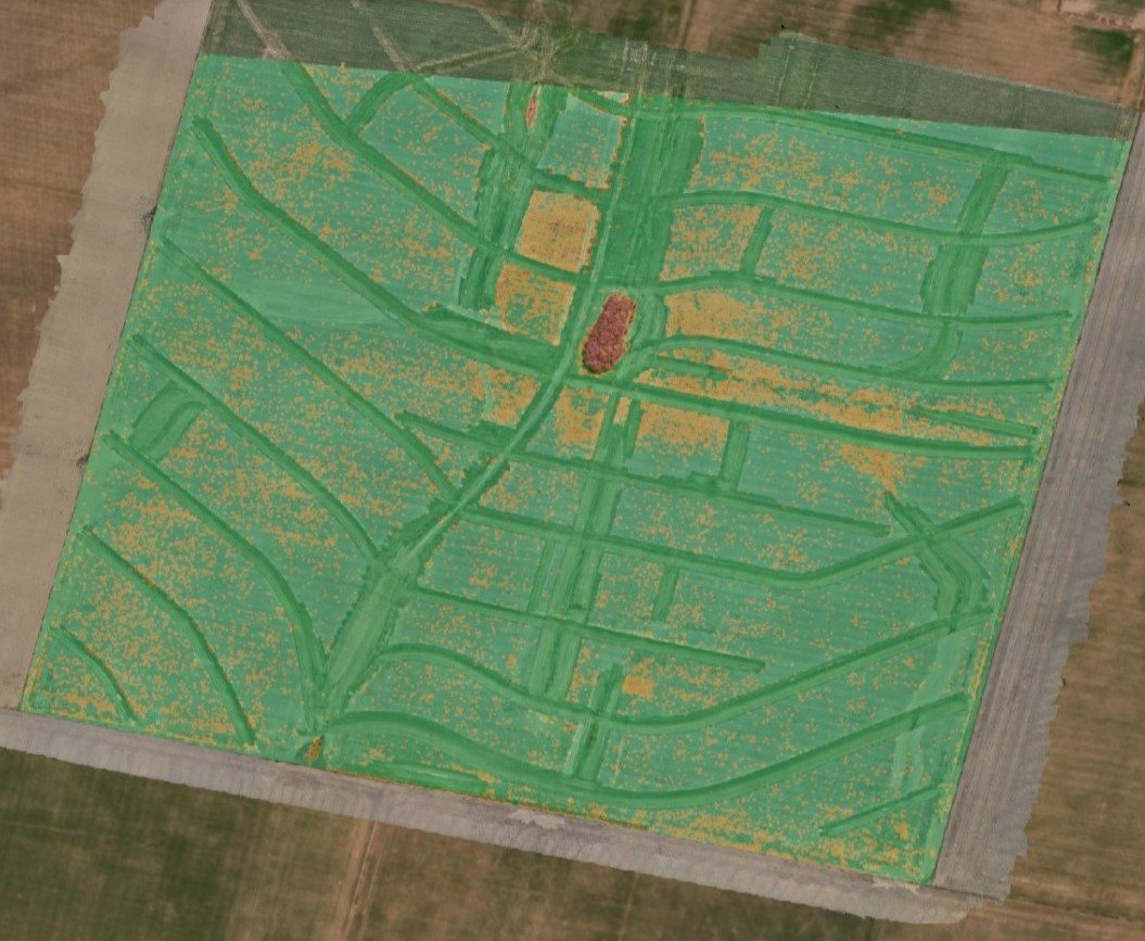 Vista aérea de un lote relevado con drone: en verde, sin maleza; en naranja, maleza detectada; en bordó, una zona con alta población de maleza